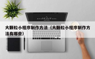 丽水大颗粒小程序制作方法（大颗粒小程序制作方法有哪些）
