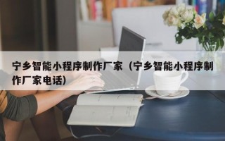丽水宁乡智能小程序制作厂家（宁乡智能小程序制作厂家电话）